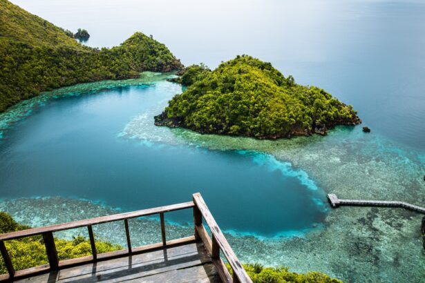 an aerial view of a small island in the middle of the ocean